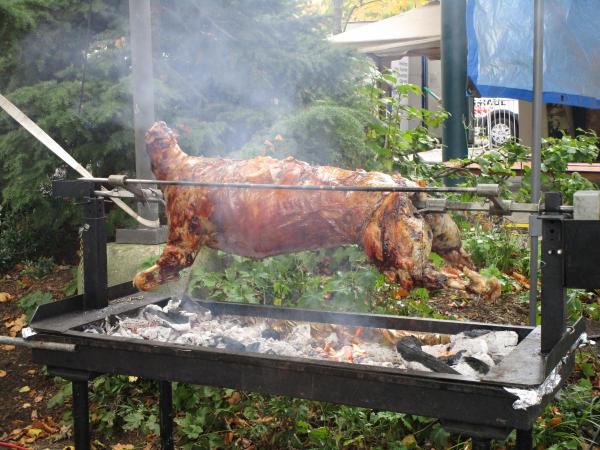 FAMILIAR FOOD VENDORS AT CROATIAFEST